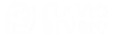 fs logo w